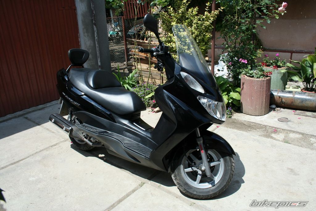 Photo 1317899