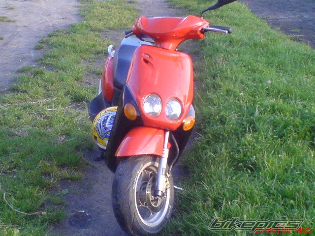 Photo 1317940