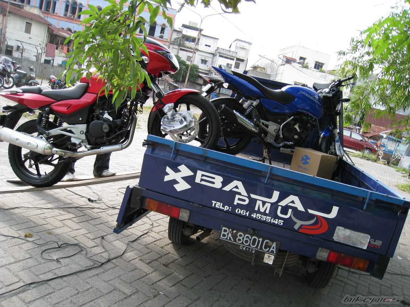 Photo 1317941