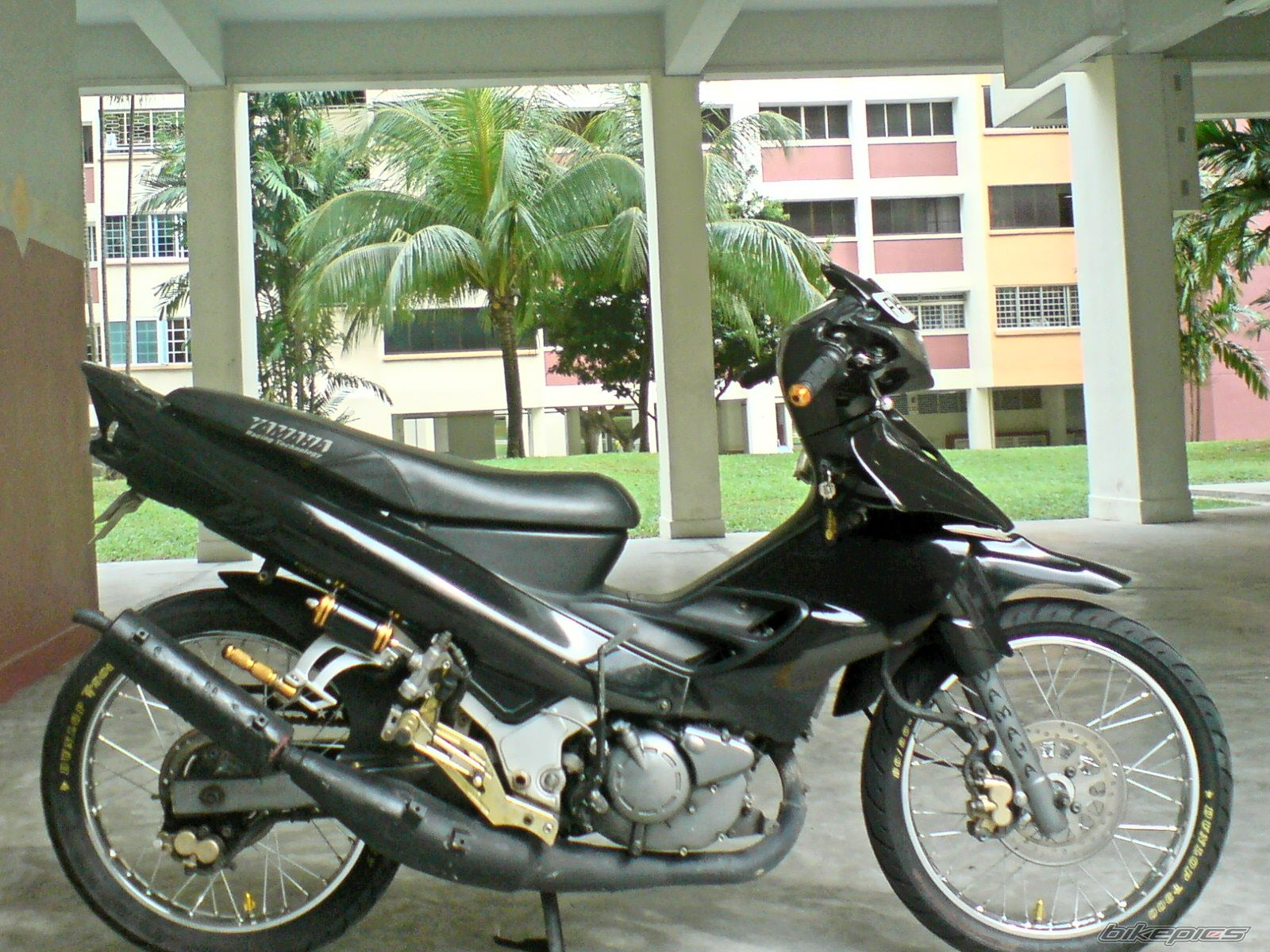 Bike Photo 1317966