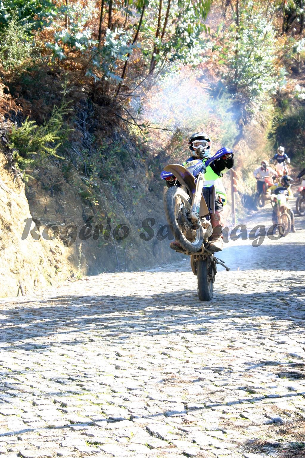 Bike Photo 1318013