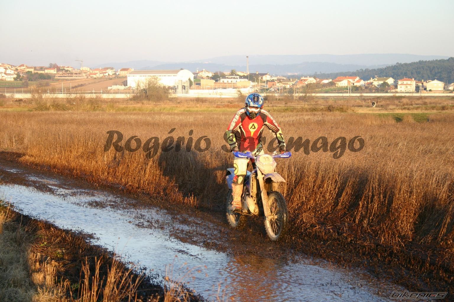 Bike Photo 1318016