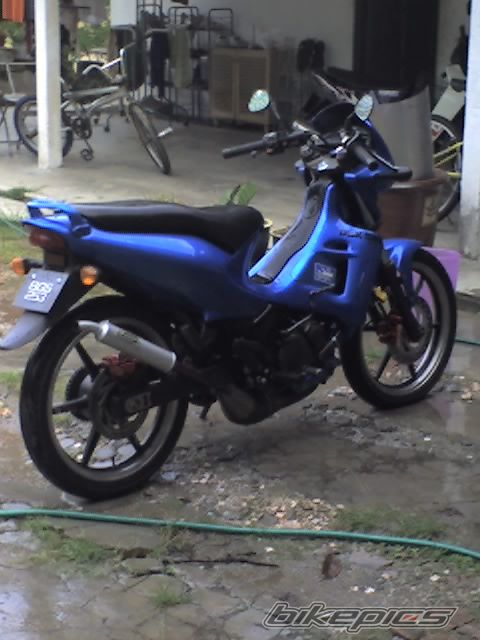 Stella 115