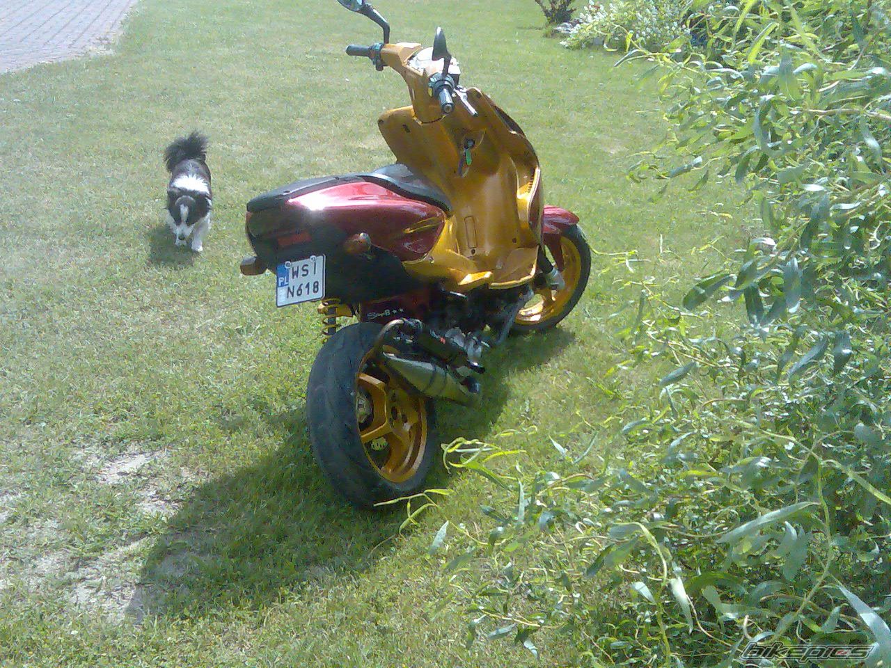 Photo 1318080