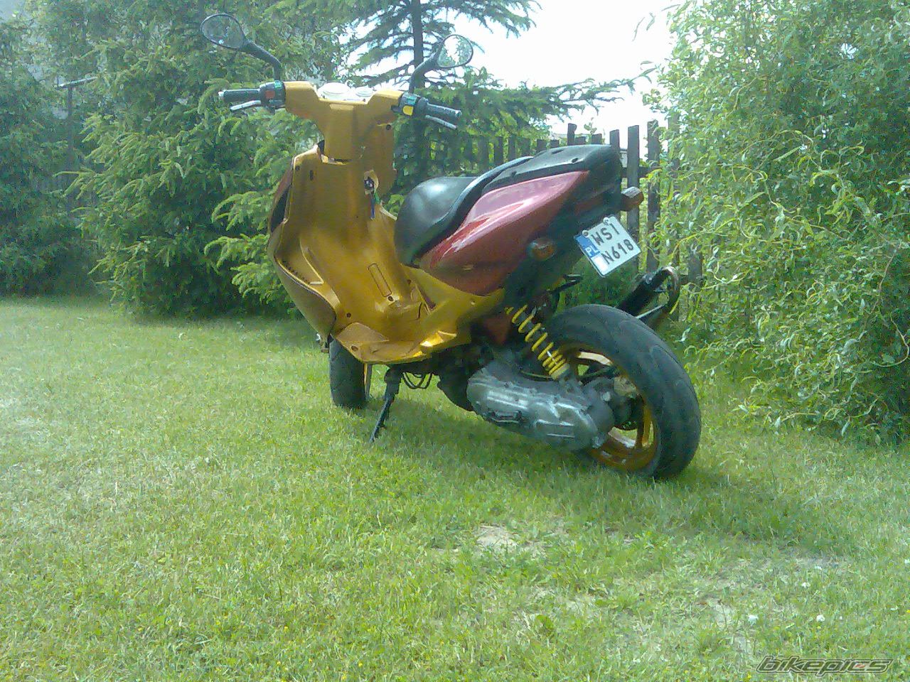 Photo 1318081