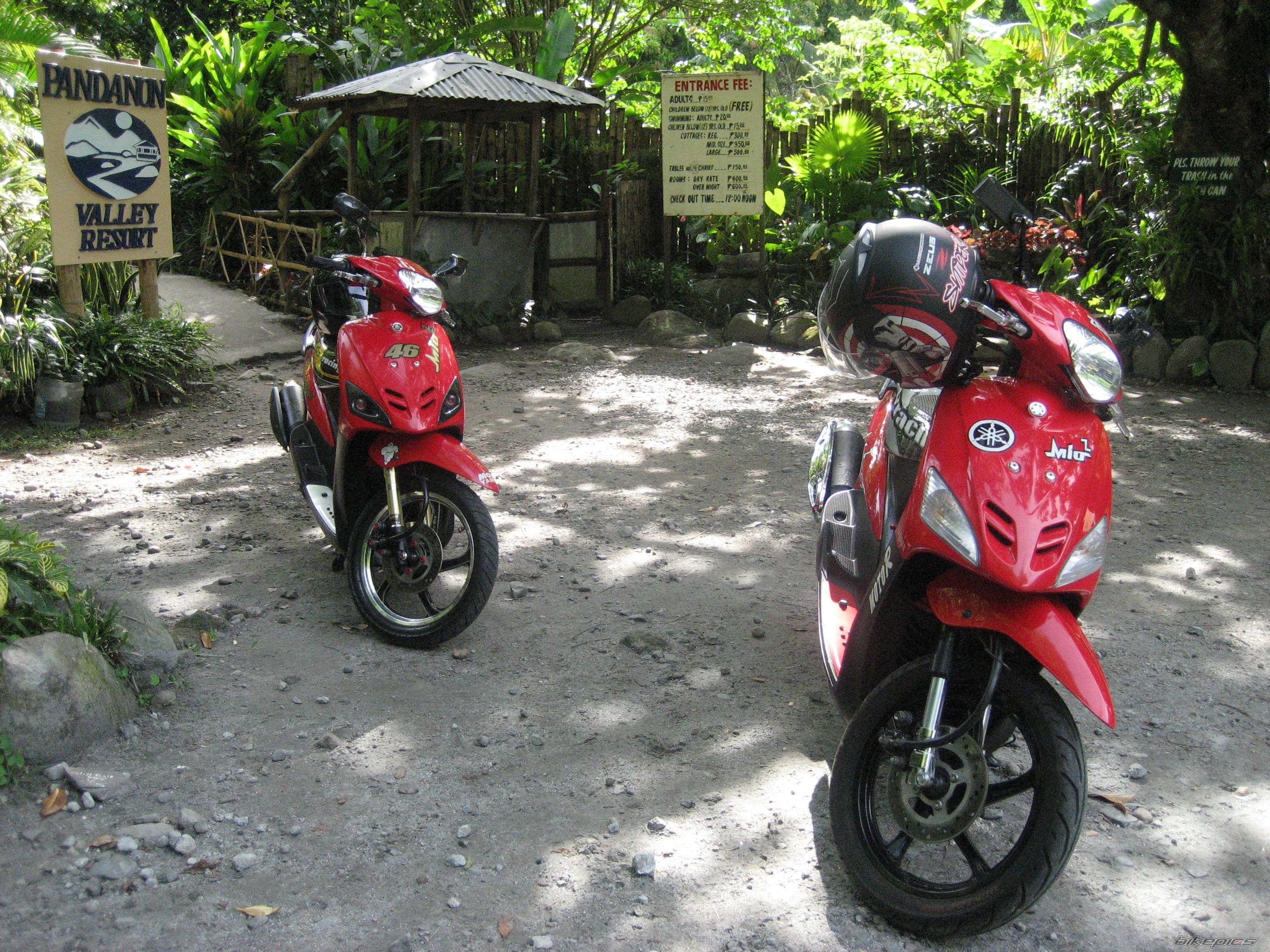 Bike Photo 1318082