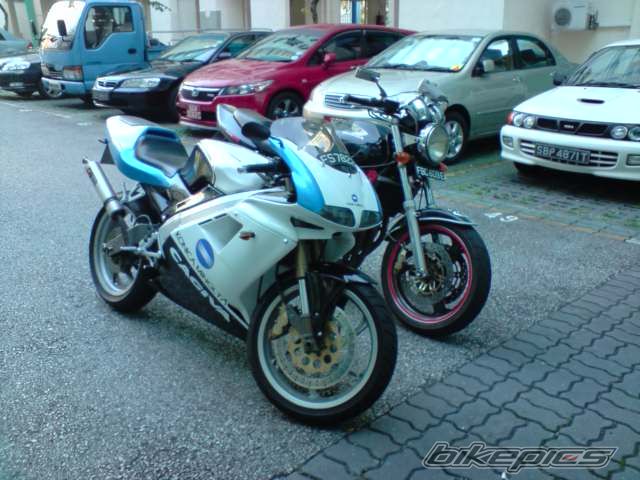 Photo 1318127