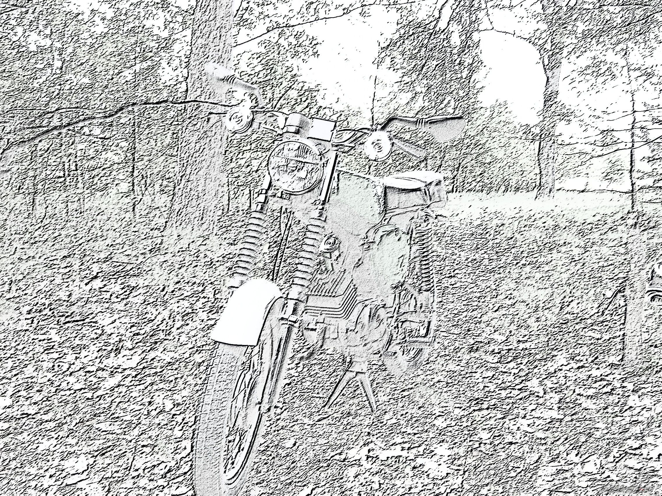 Photo 1318140