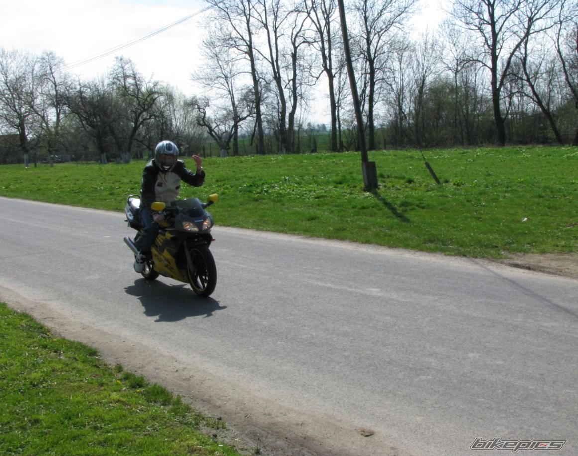 Photo 1318213