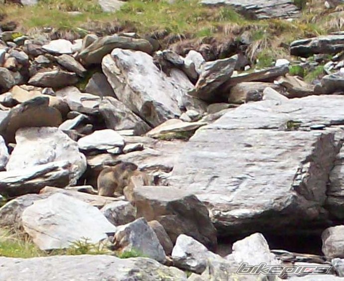 Photo 1318401