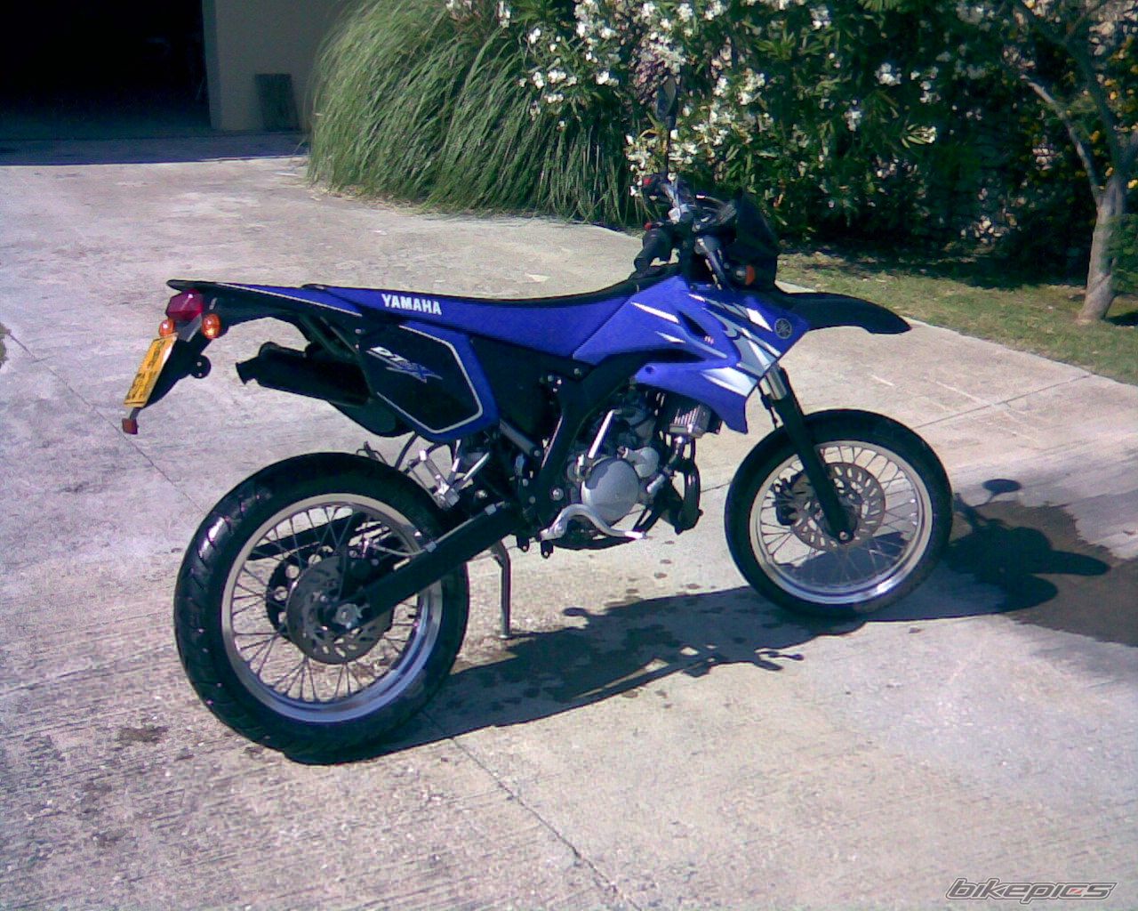 Photo 1318453
