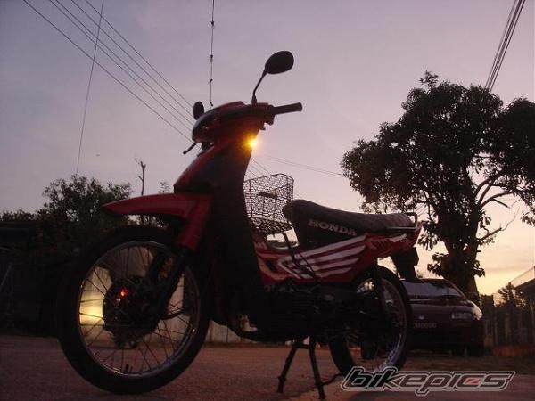 Photo 1318523