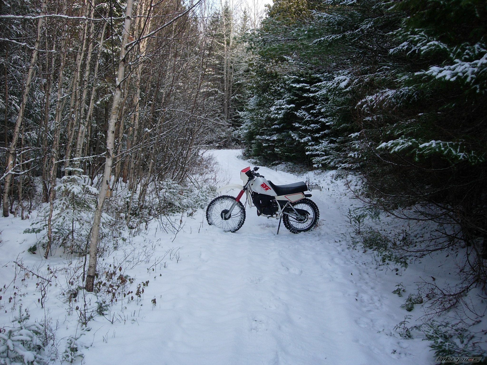Bike Photo 1318546