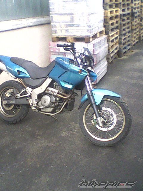 Photo 1318607