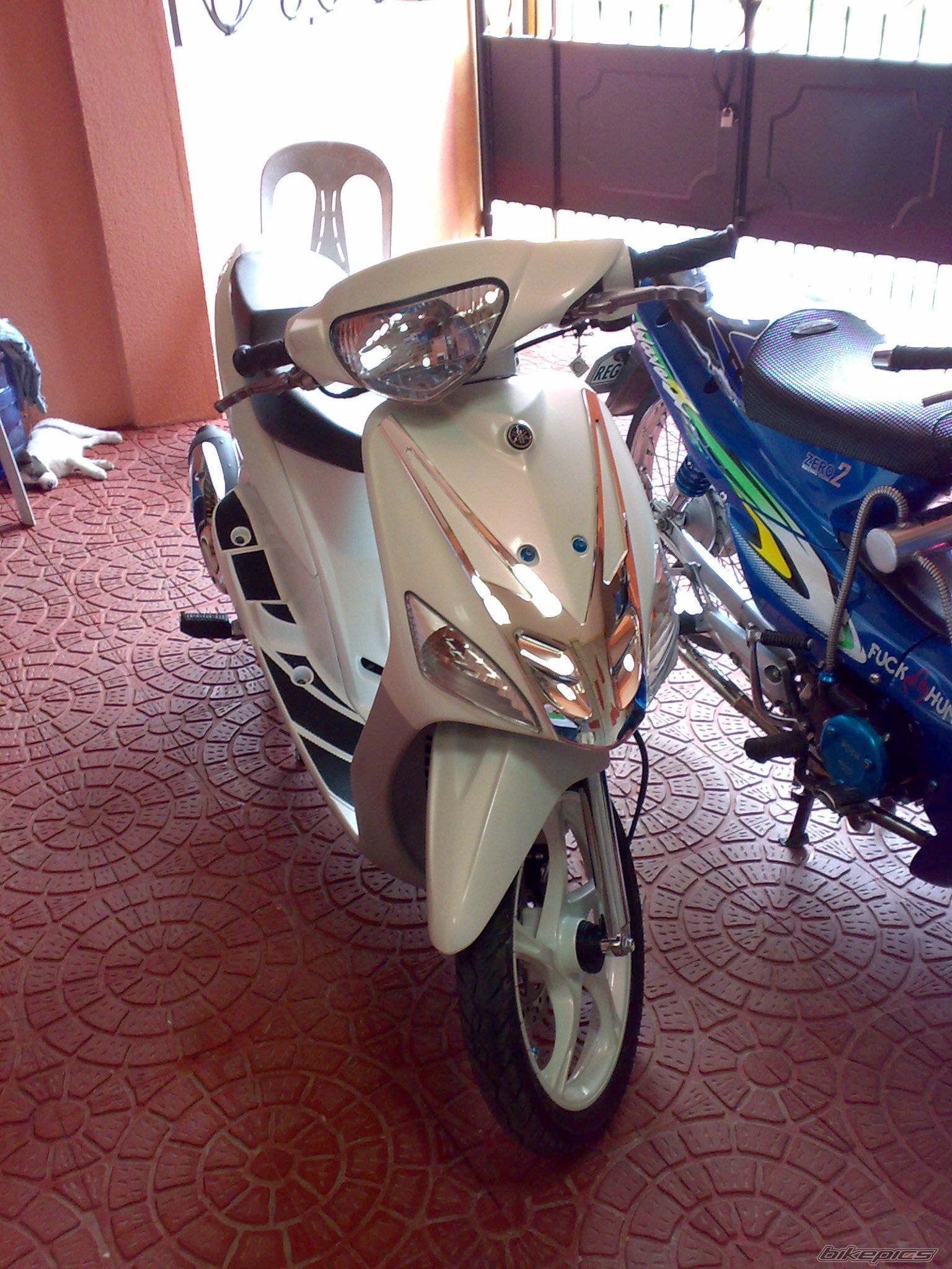 Photo 1318634