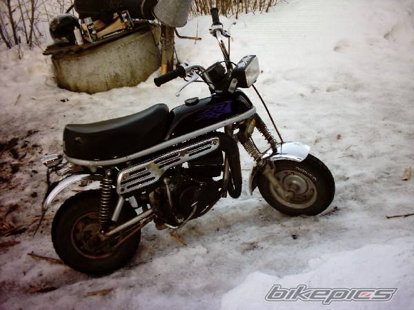 Photo 131866