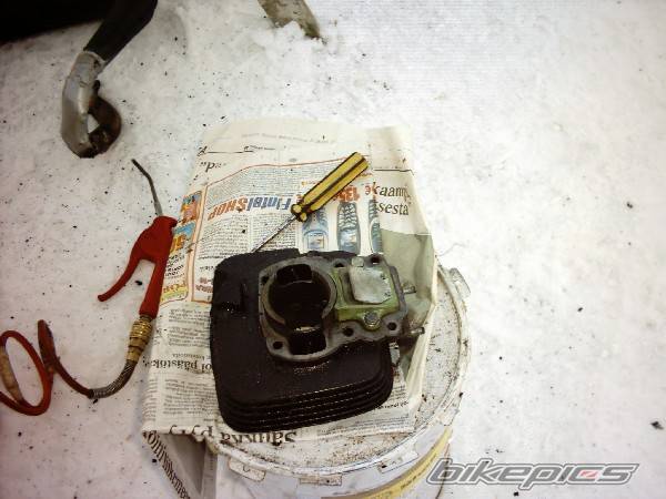 Photo 131874
