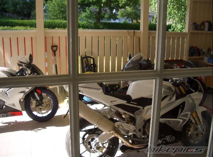 Photo 1318822