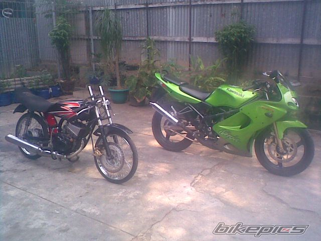 Photo 1318850