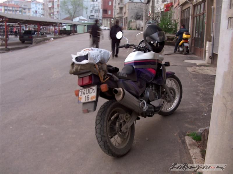 Photo 1318870