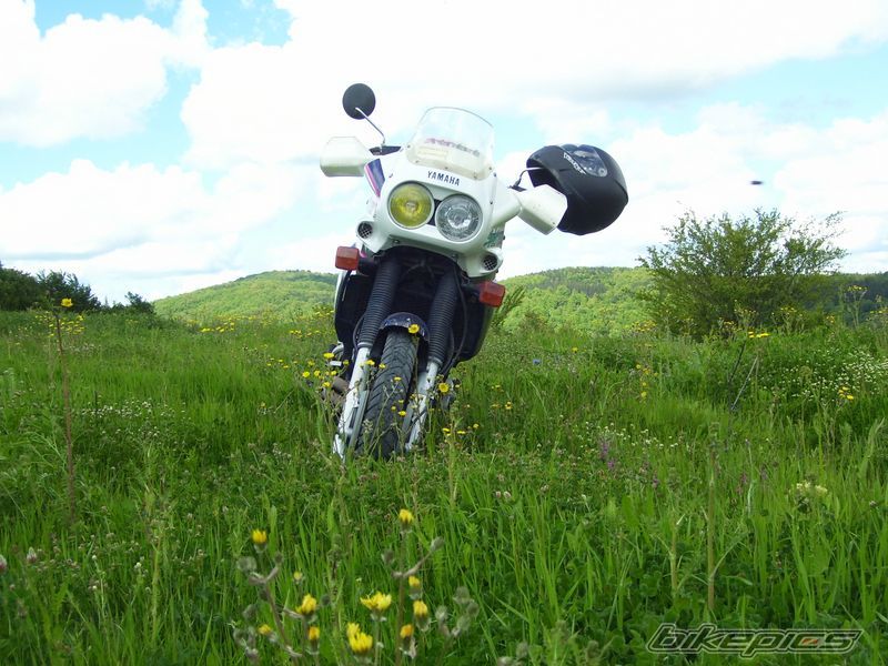Photo 1318872