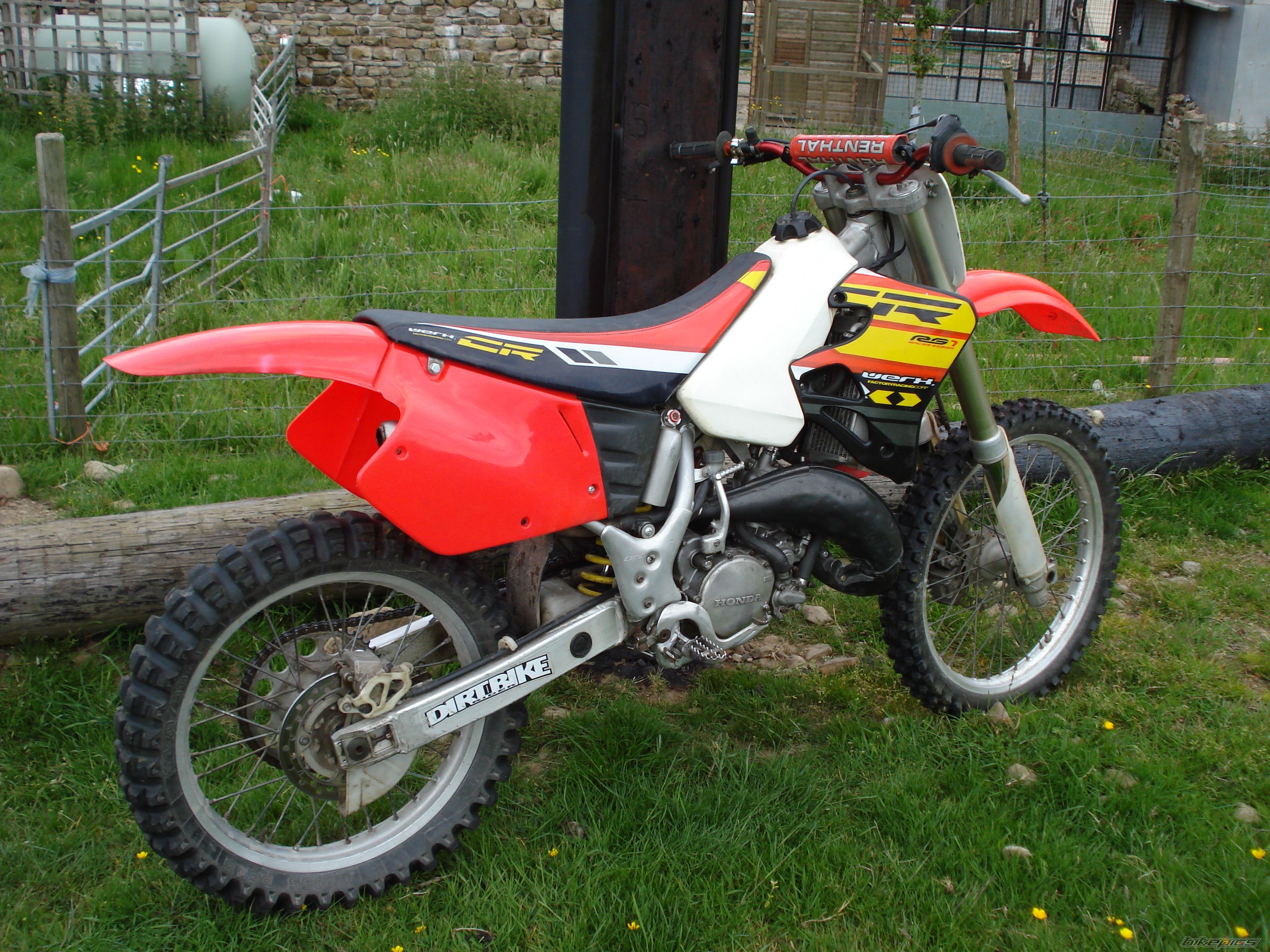 Photo 1318979