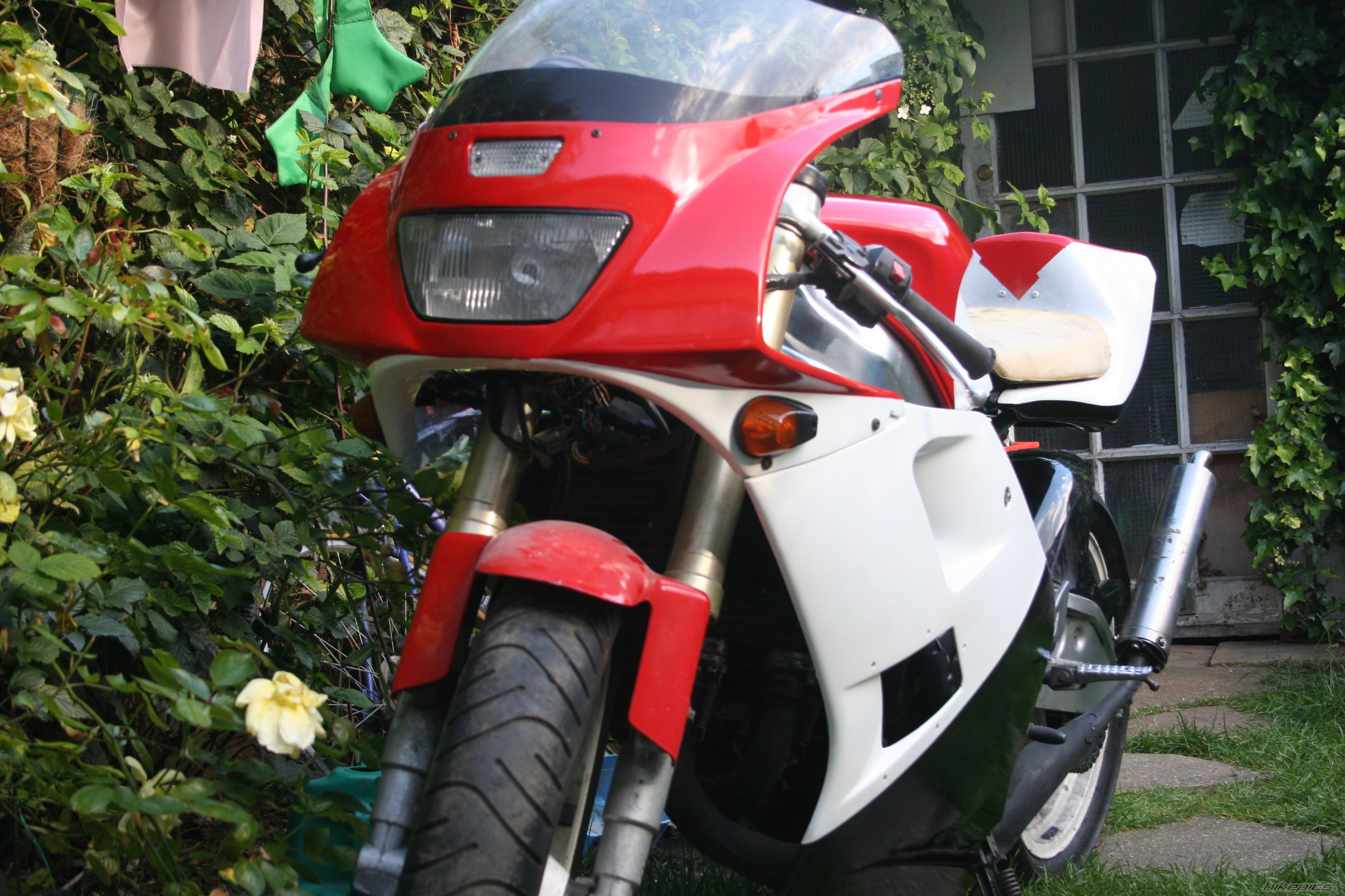 Bike Photo 1318996