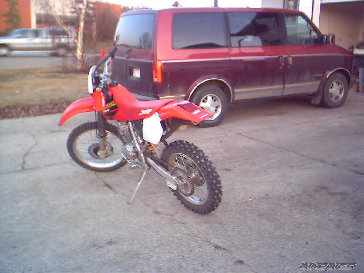 Photo 131902