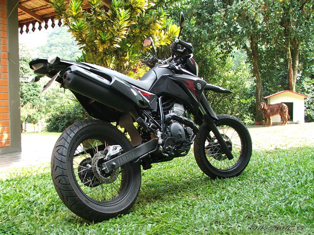 Bike Photo 1319129