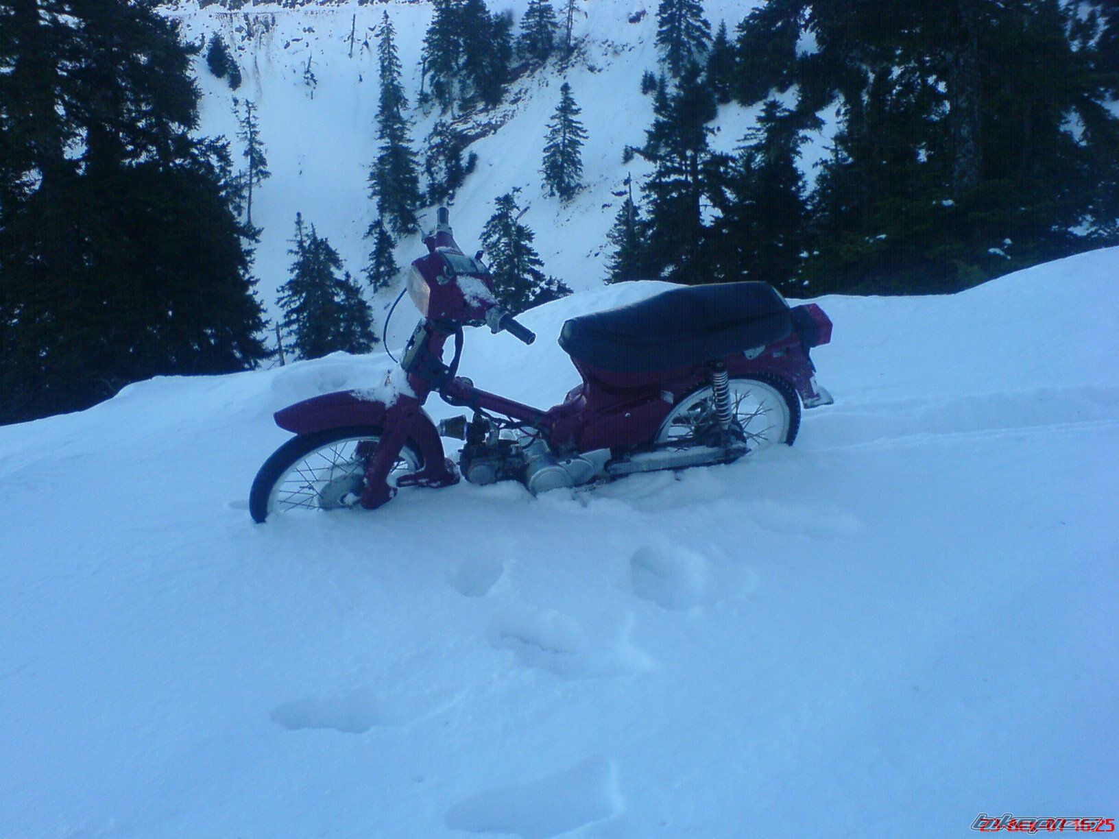 Photo 1319177