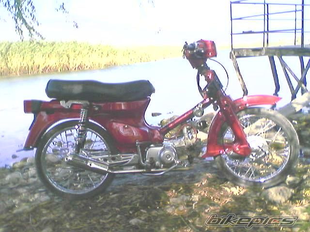 Photo 1319179