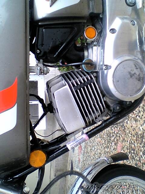 Photo 1319203