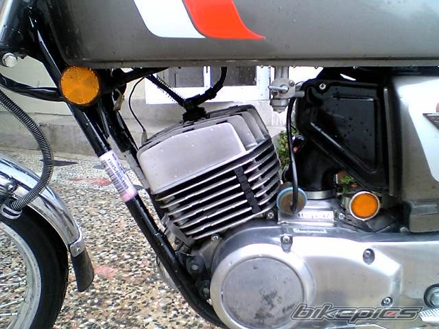 Photo 1319213