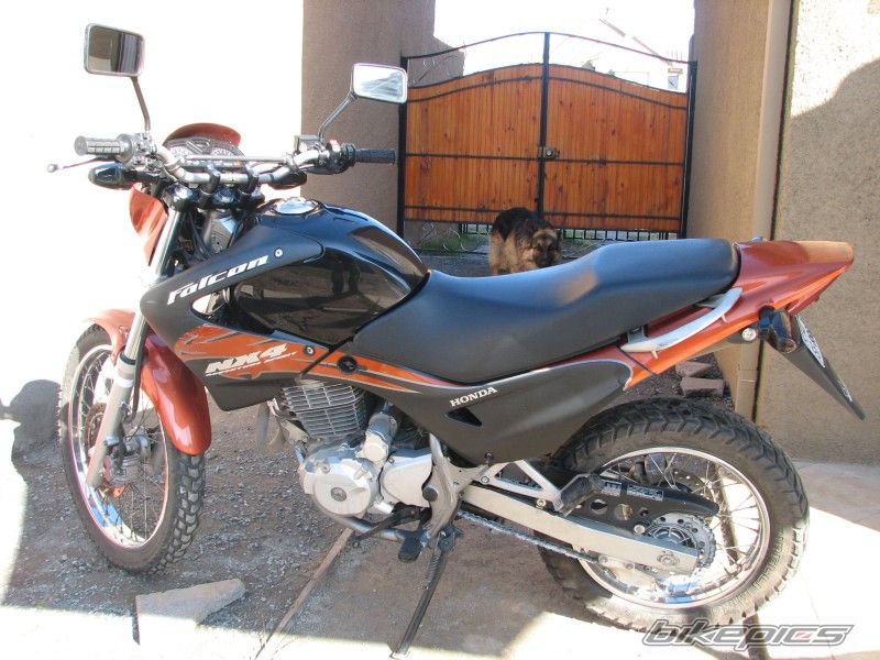 Photo 1319282