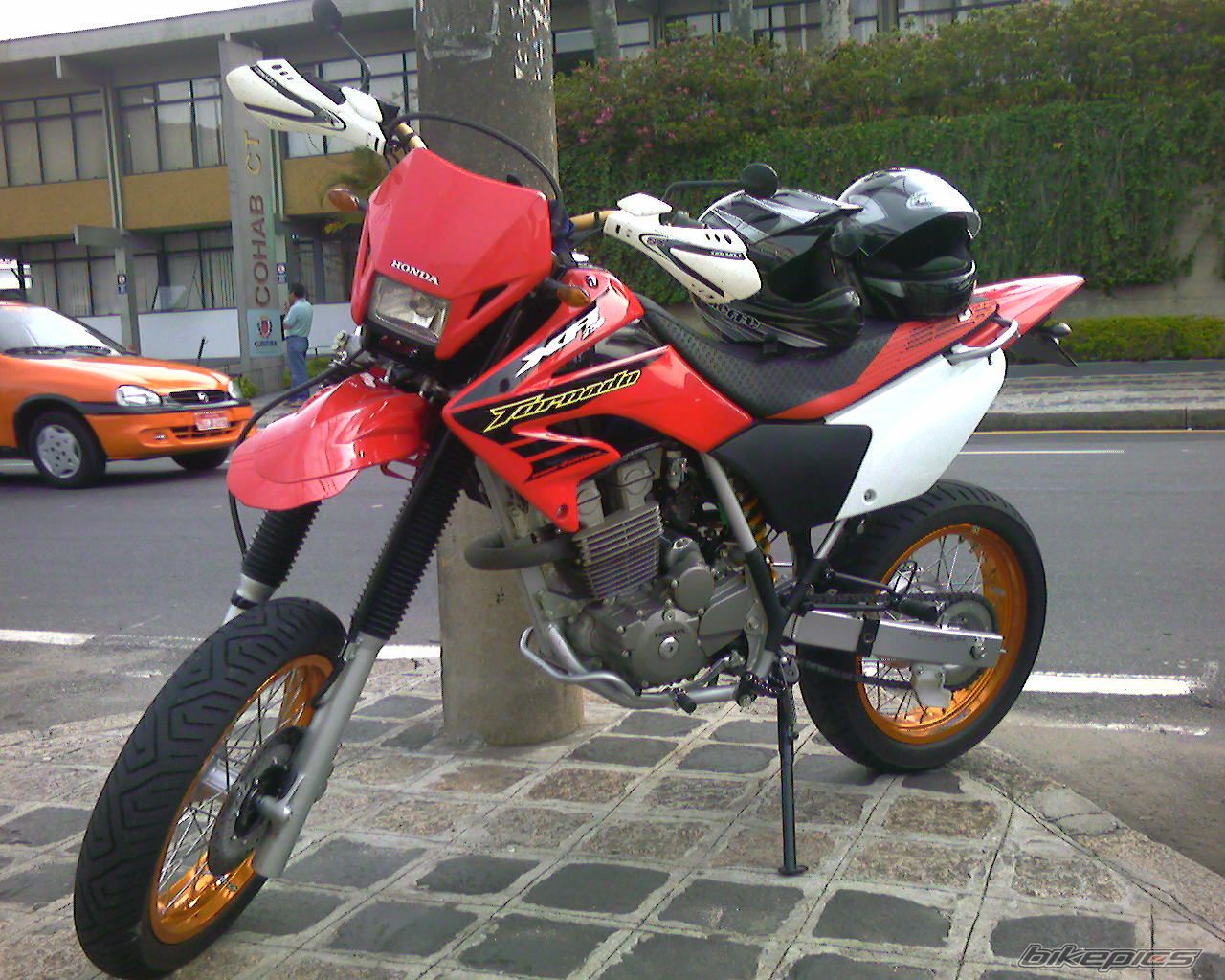 Photo 1319342