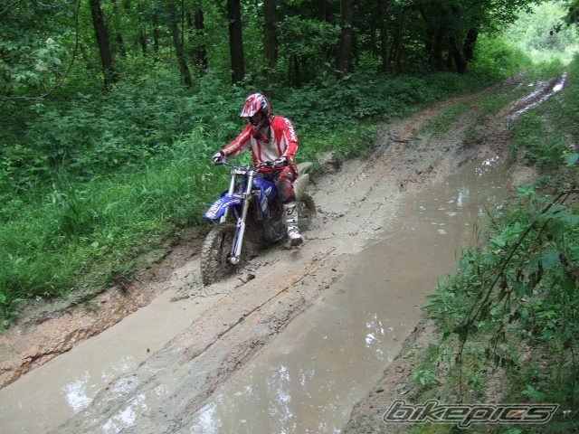 Photo 1319392