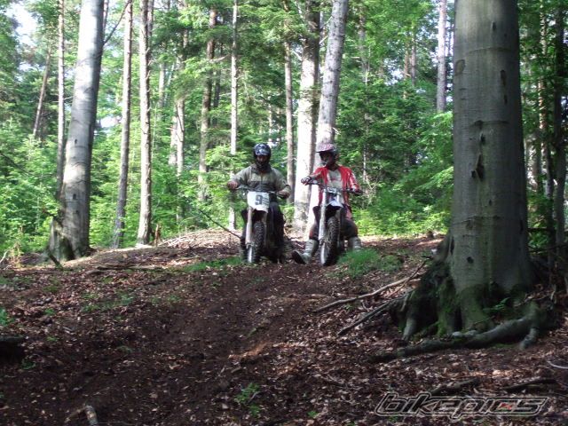 Bike Photo 1319399