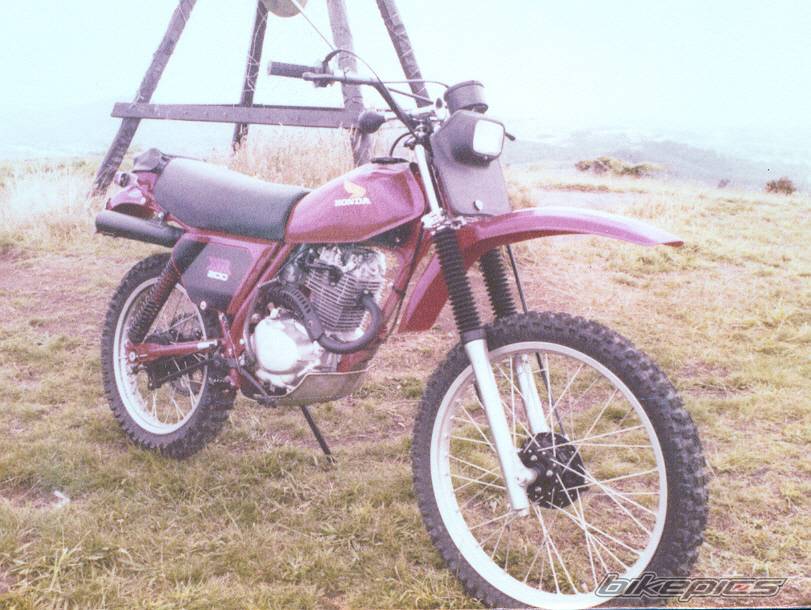 Photo 131940