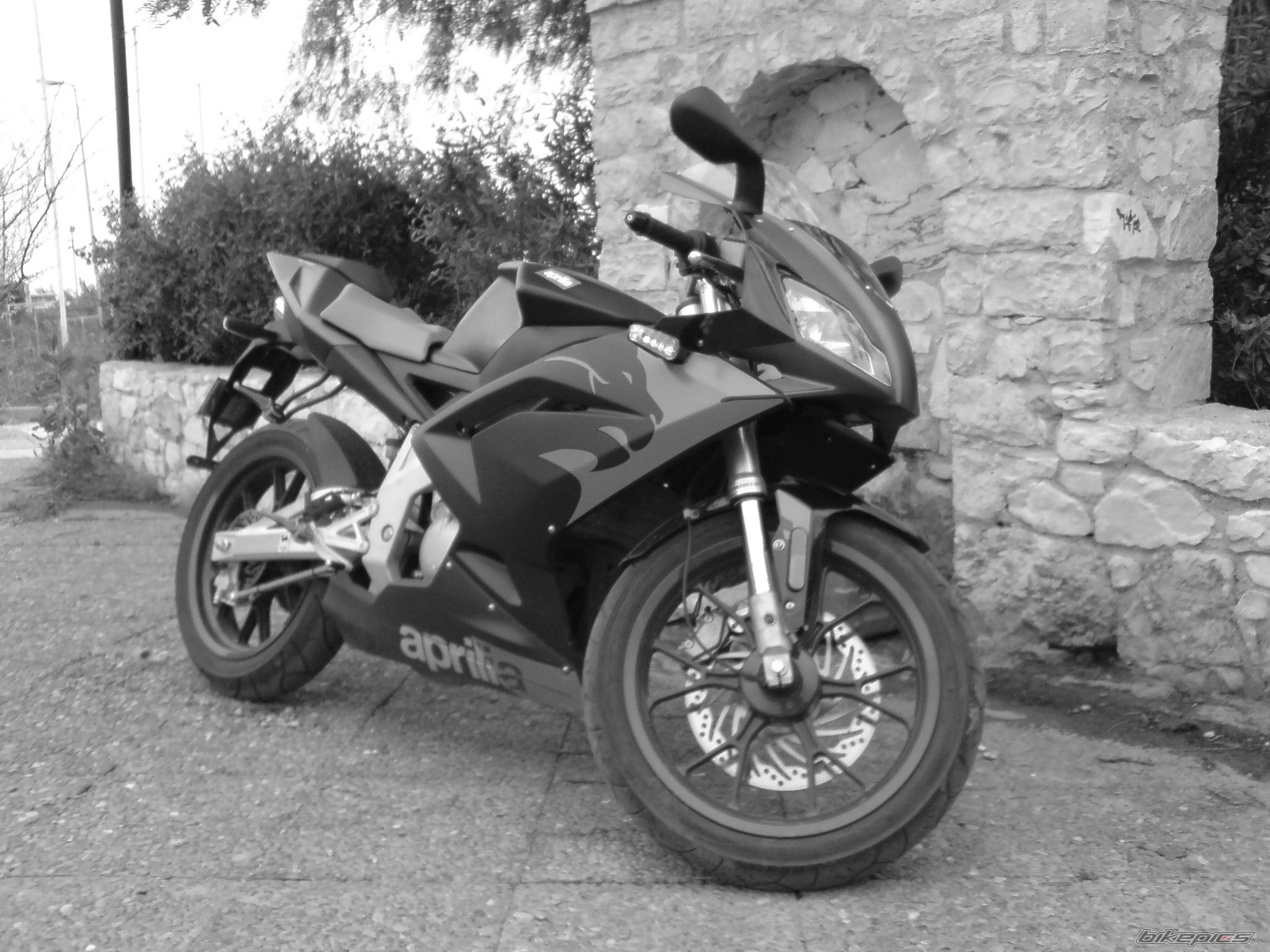 Bike Photo 1319476