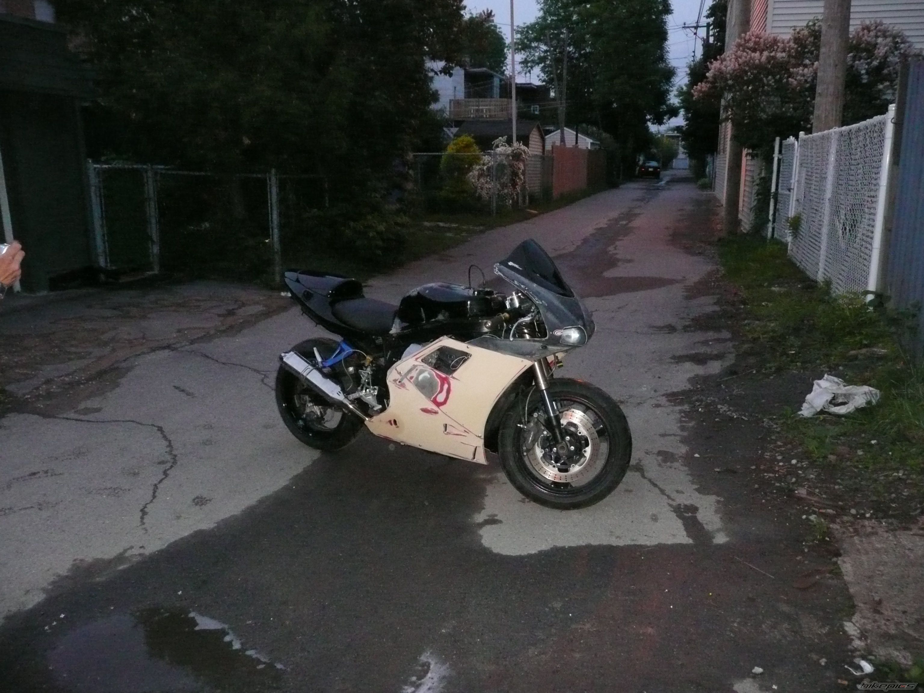 Photo 1319542
