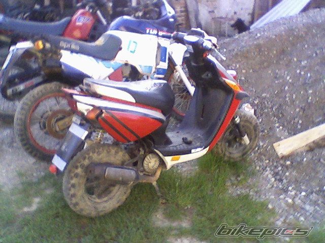 Photo 1319646