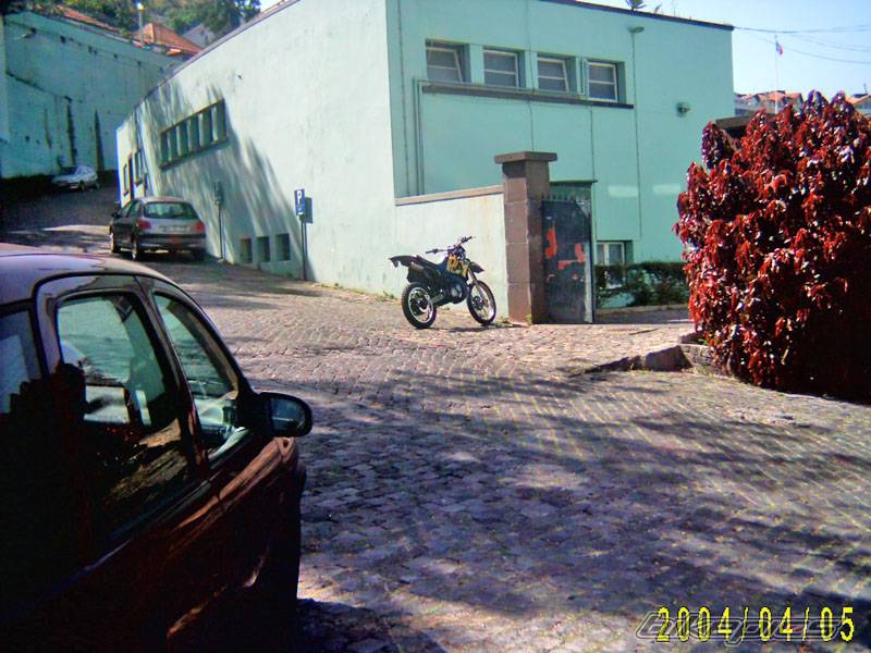 Photo 131990