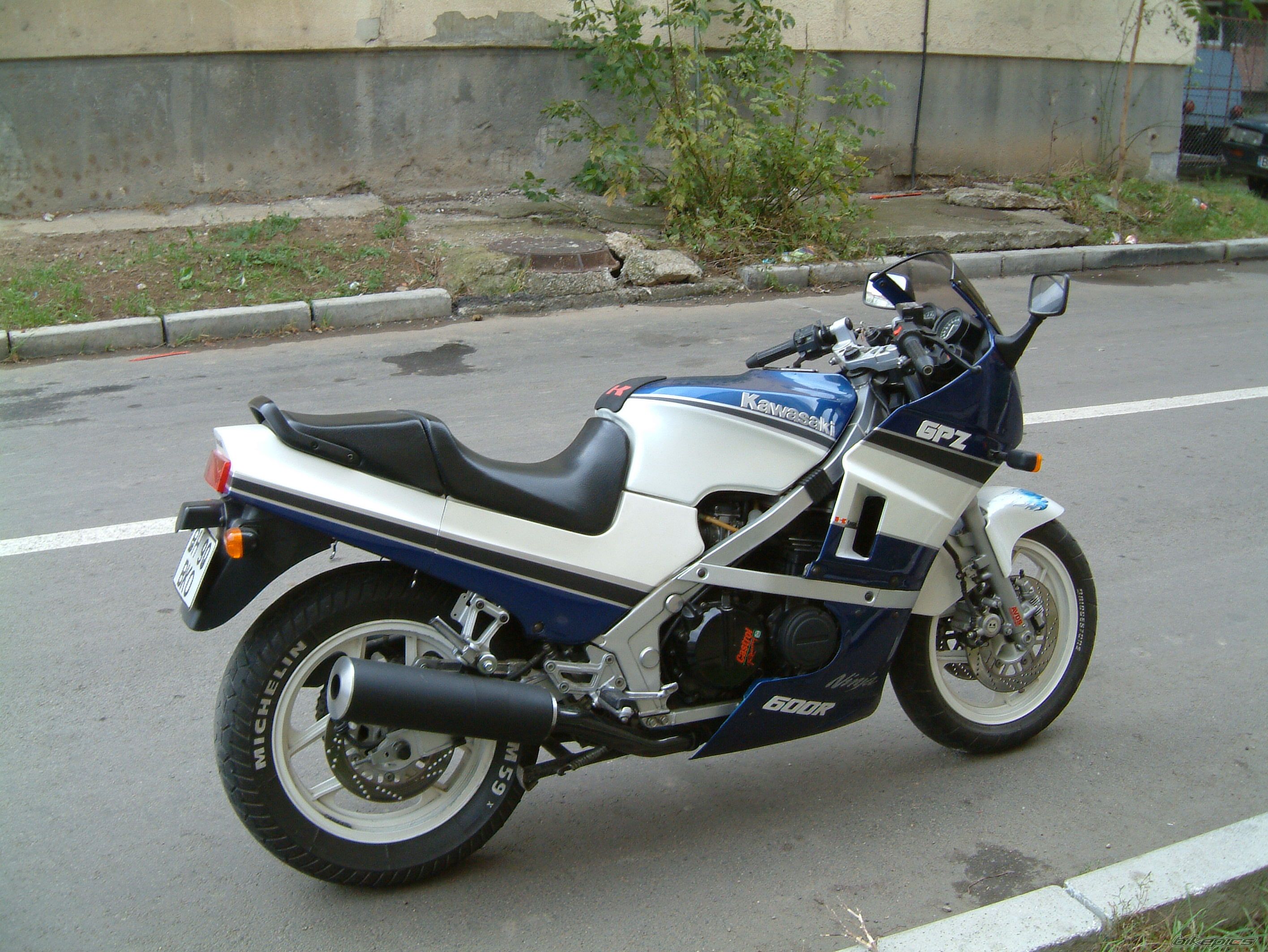 Photo 1319910