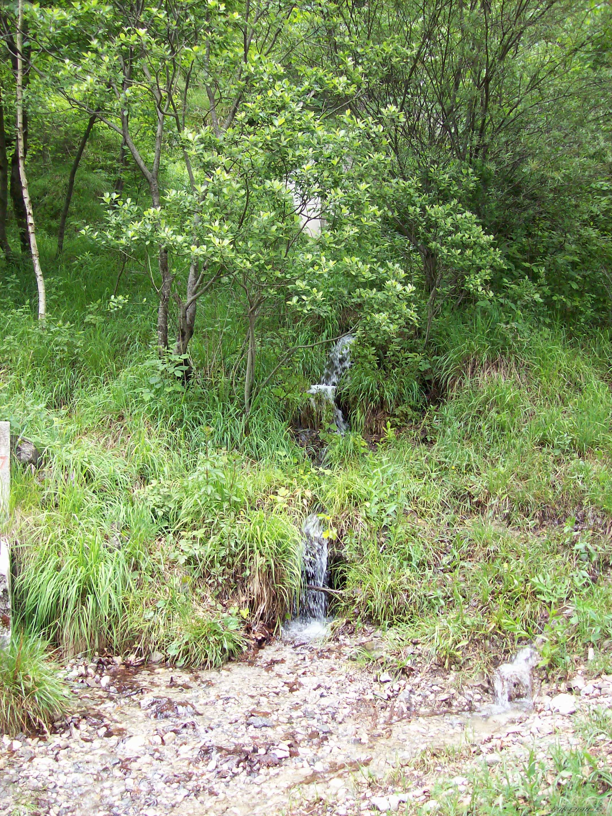 Photo 1320061
