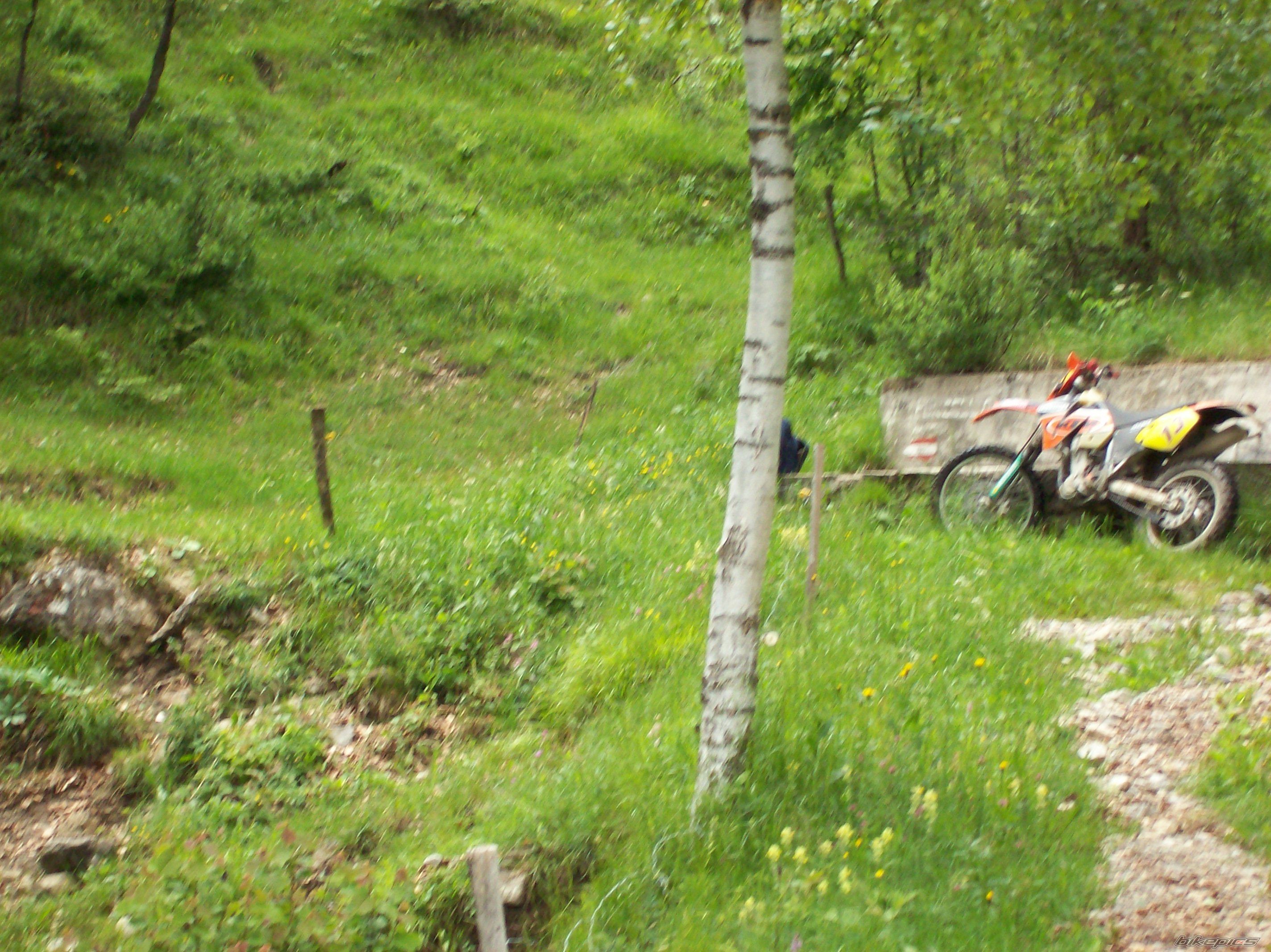 Photo 1320064