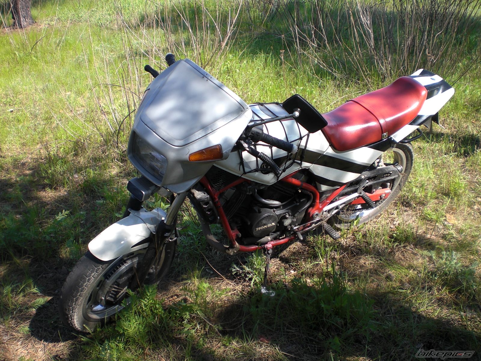 Photo 1320077