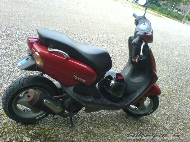 Photo 1320282