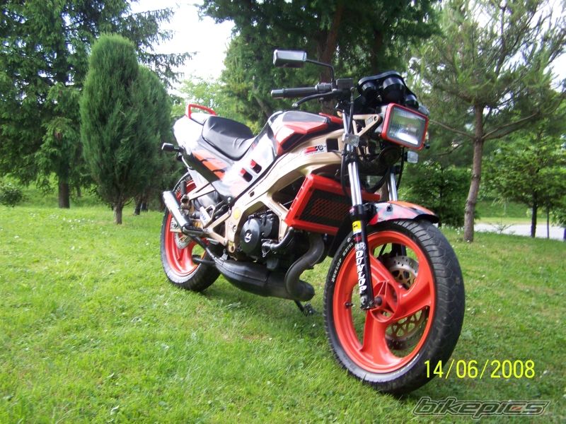 Photo 1320291