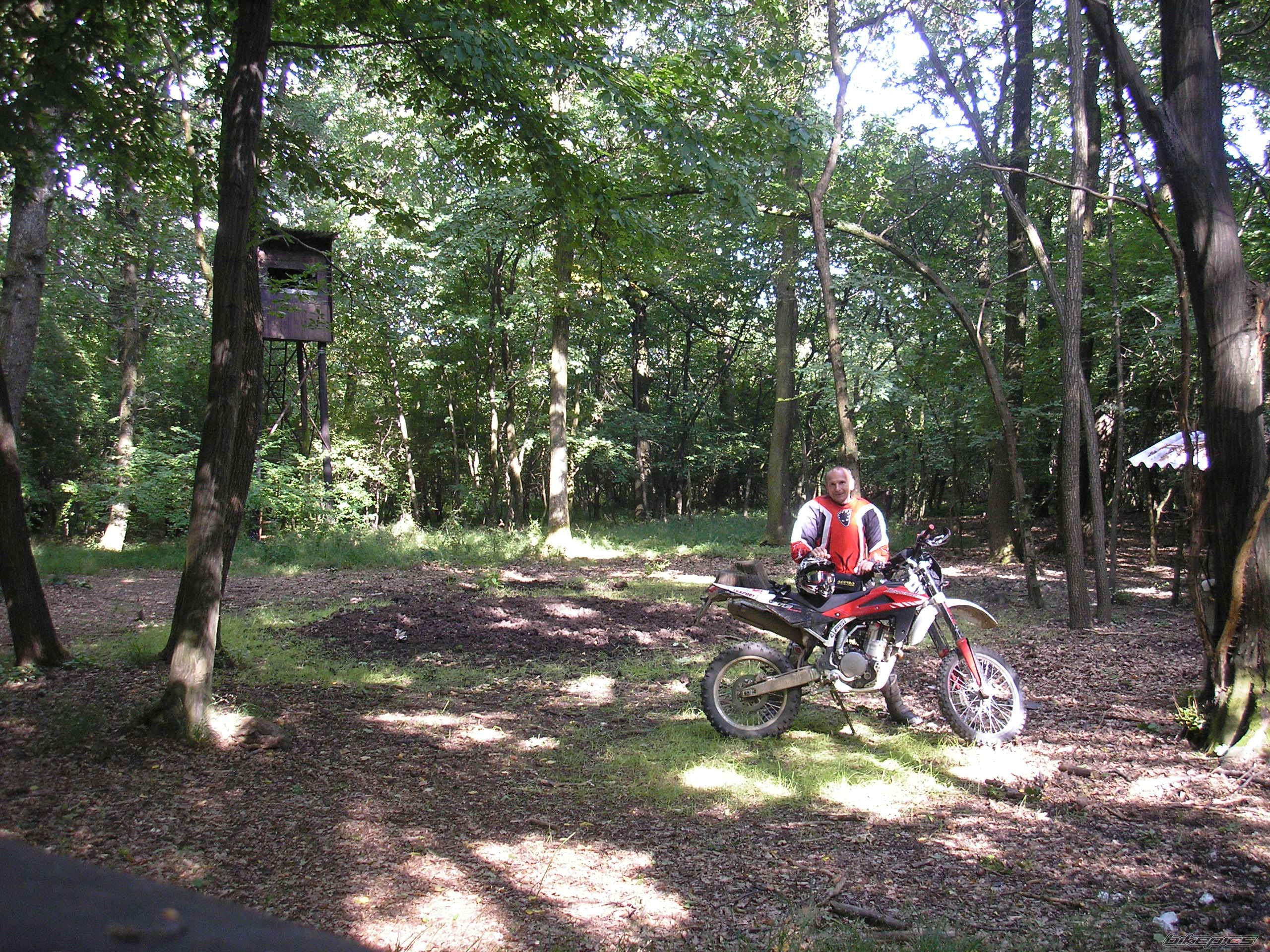 Photo 1320305