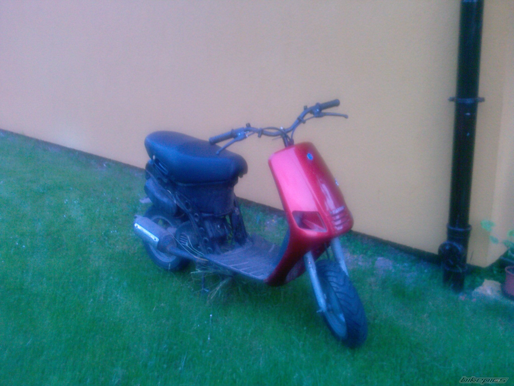 Photo 1320634